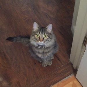 Meet your Posher, Veronica